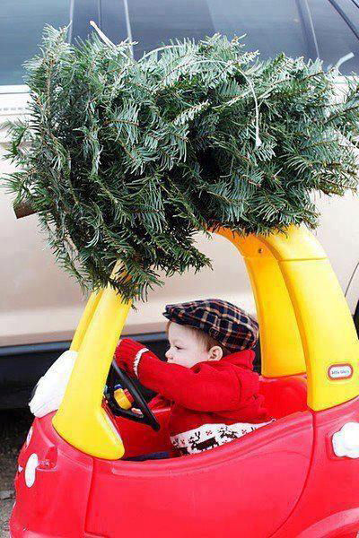 Picture of Christmas Tree on Toy Car