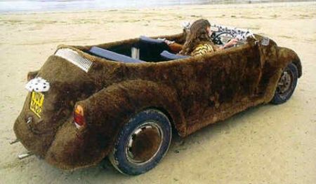 Funny Pictures of Furry Volkswagen Bug Rug