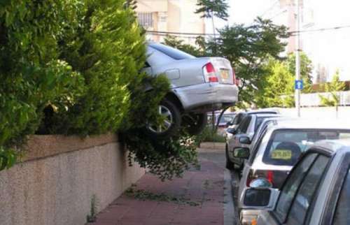 Funny Pictures of Car In Bush