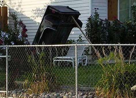 Funny Pictures of pickup Truck Box In Backyard