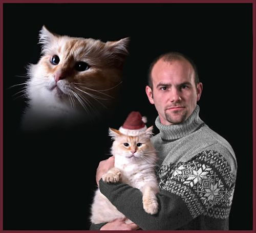 A funny Christmas picture with a cat and its owner.