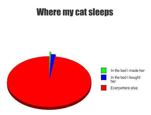 A funny cat sleeping pie chart 