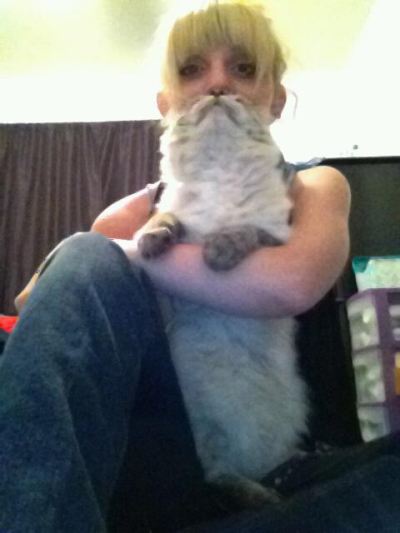 funny picture of cat beard