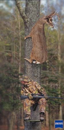 Deer Hide