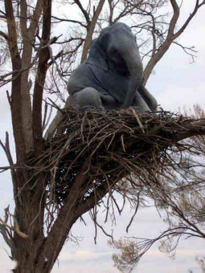 Funny Pictures of Elephant In a Nest Up a Tree