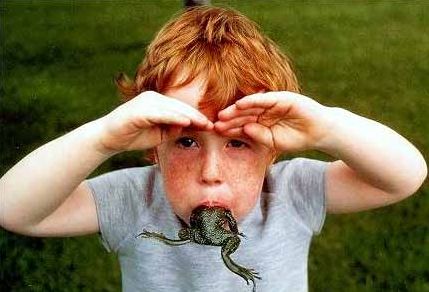 Funny Pictures of Frog in Kid's Mouth