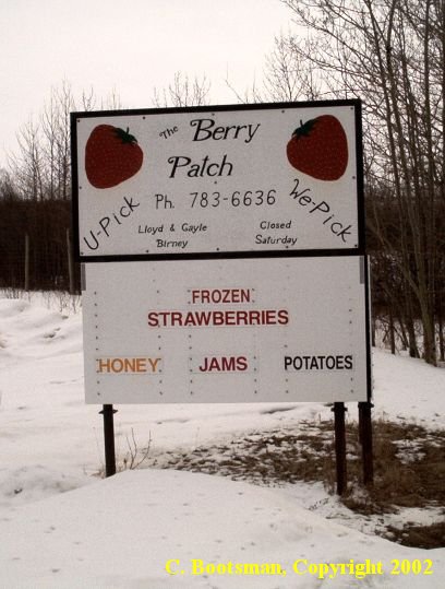 Frozen Strawberries