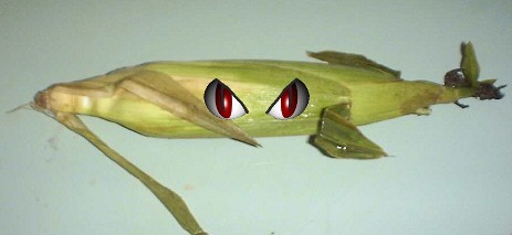 gencorn