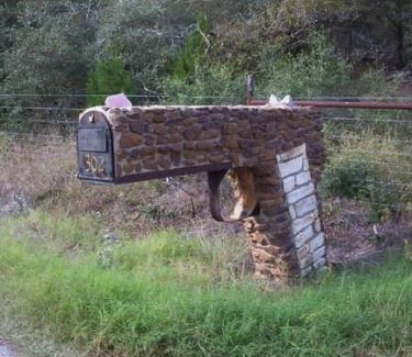 Funny Pictures of Mailbox Shaped Like Pistol