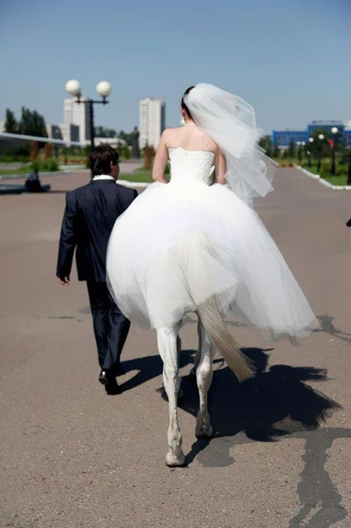 horse bridal legs