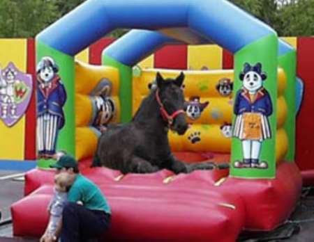 Funny Pictures of a horse lying in an inflatable castle