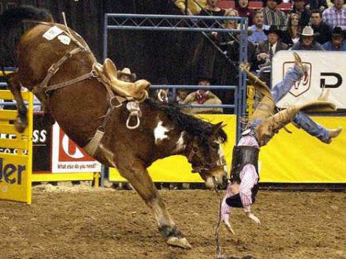 Funny Pictures of Horse Bucking Cowboy