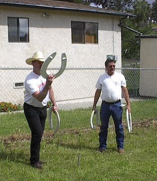 horseshoes