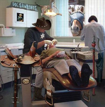 Horse and Cowboy at Dentist