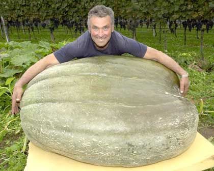 Funny Pictures of Man With Large Gourd