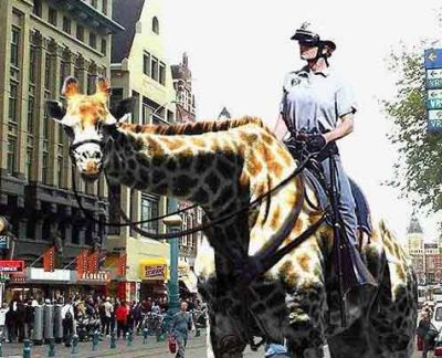 Funny Pictures of Police Officer on Giraffe
