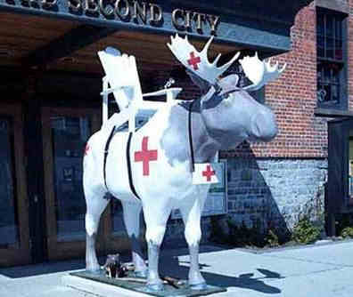 Red Cross Moose