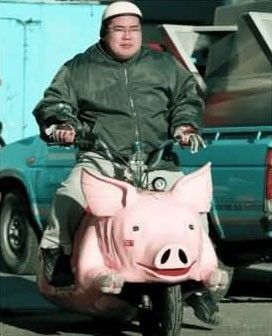 Funny Pictures of a Hog Motorcycle