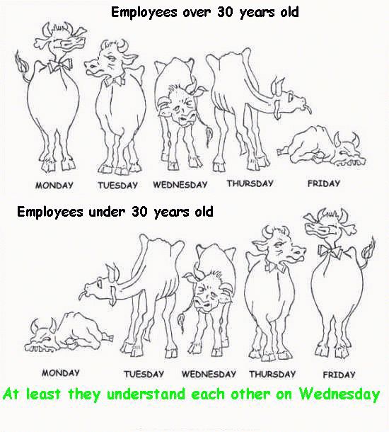 Funny Pictures of Old and Young Employees