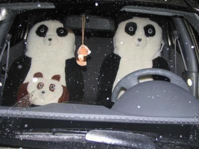 Funny Pictures of Panda Bears in Car