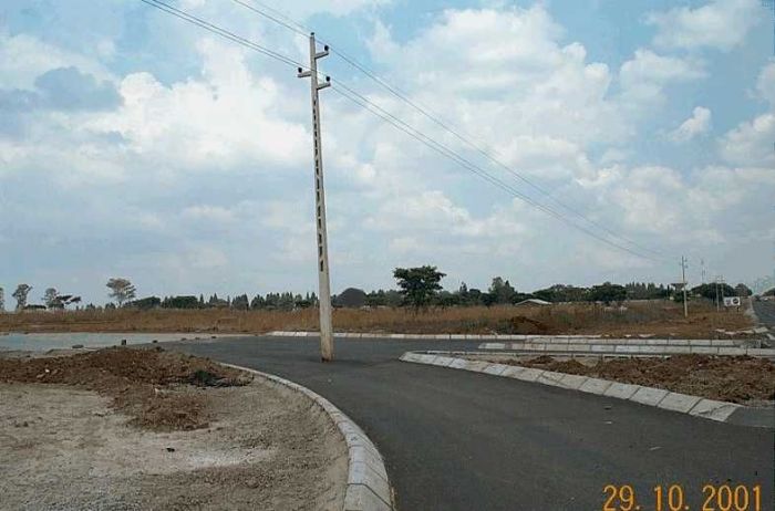 Funny Pictures of a Telephone Pole in the Middle of the Road