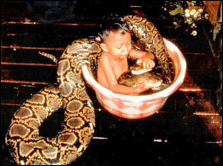 Funny Pictures of Baby Bathing With Snake
