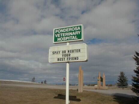 Funny Jokes Pictures of veterinary sign.
