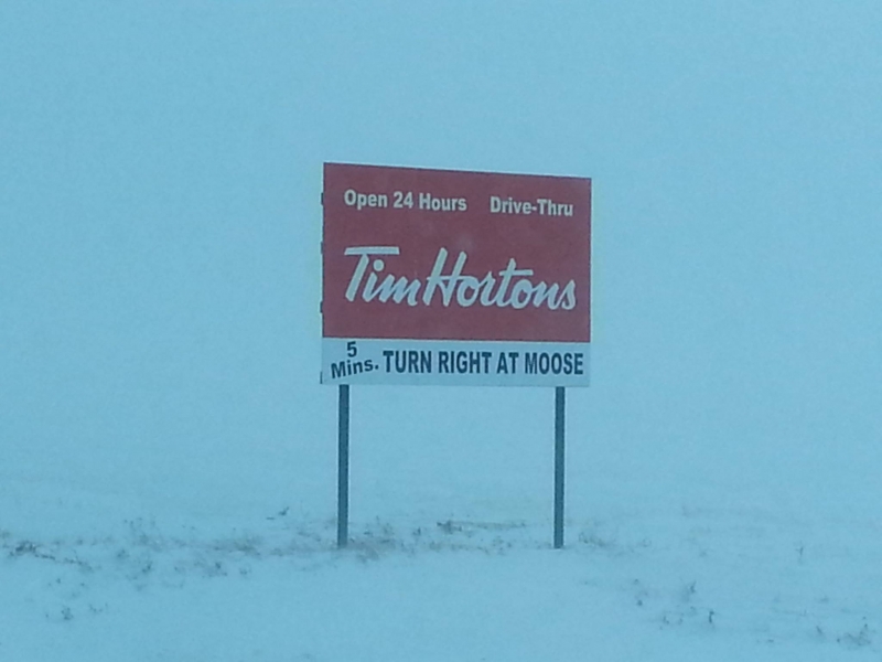 Tim Hortons Moose Coffee Funny Sign