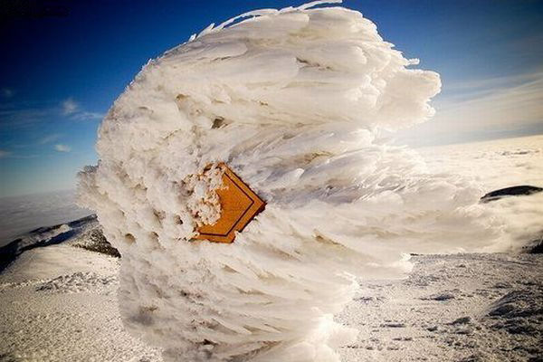 funny road sign covered in snow