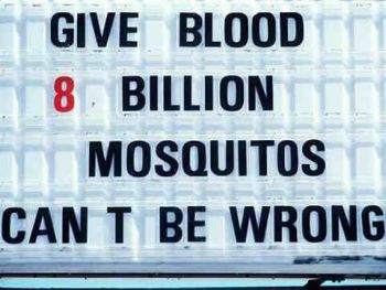 Blood Donor Mosquito | Funny Signs | Entertainment