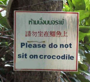 Funny Pictures of Do Not Sit on Crocodile Sign
