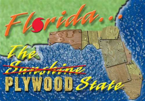 Funny Pictures of Florida Plywood State Postcard