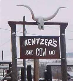 Funny Pictures of Used Cow Lot Sign.