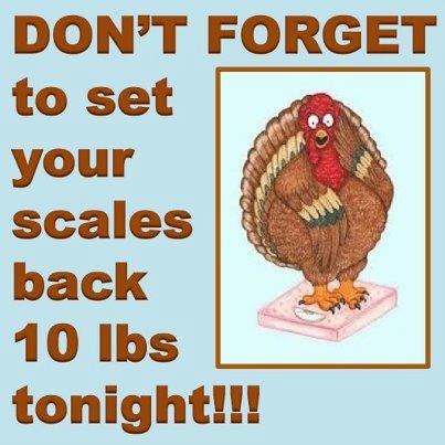 picture of a turkey on a scale