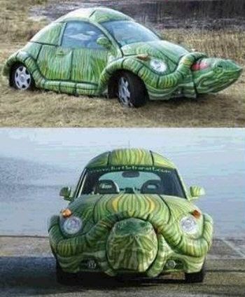 Turtle Wax Car