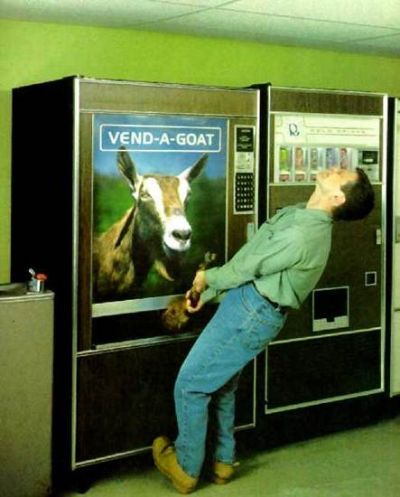 Goat Vendor