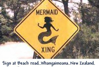 Mermaid Crossing Sign