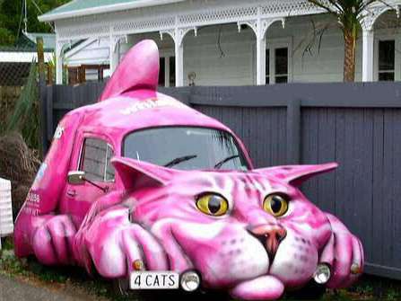 Funny Pictures of Purple Cat Car