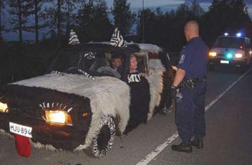 Funny Pictures of Police Pulling Over Cat Car