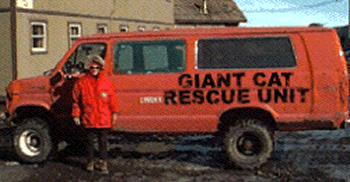 Funny Pictures of Giant Cat Rescue Van