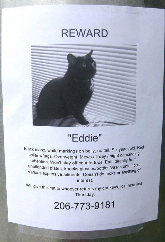 A funny missing cat reward poster