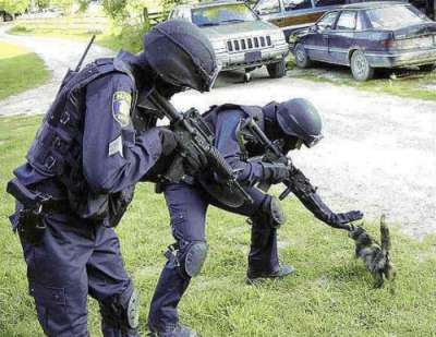 Funny Cat Pictures -  and SWAT Team