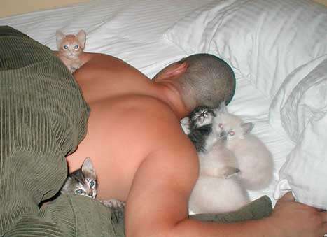Funny Pictures of Tough Guy Sleeping With Kittens