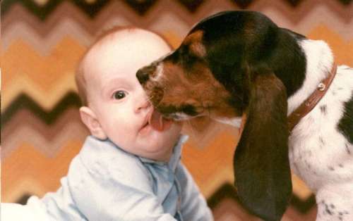 Funny Pictures of Dog Licking Baby's Face