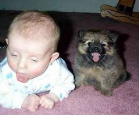 Funny Pictures of Baby Coughing After Dog Kiss
