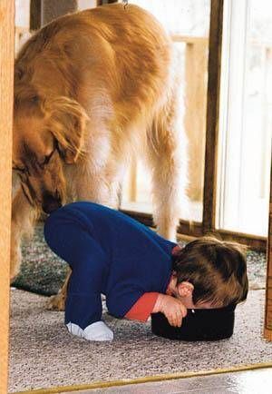 Funny Pictures of Dog Sniffing Child's Behind