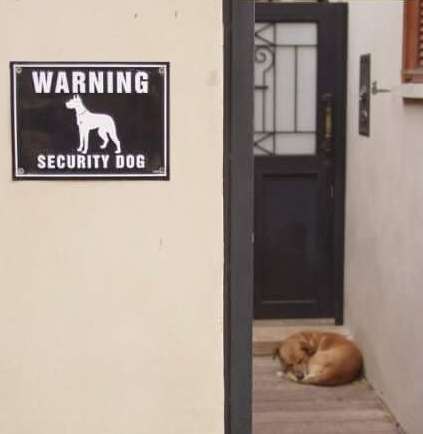 Funny Pictures of Security Dog Warning Sign