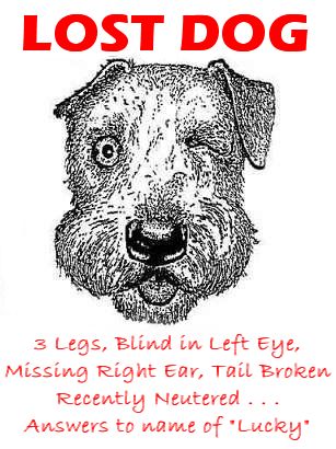 Lost dog sales funny