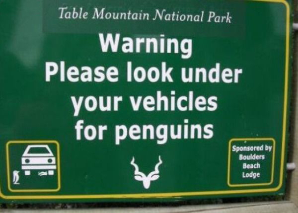 A funny Penguin Sign