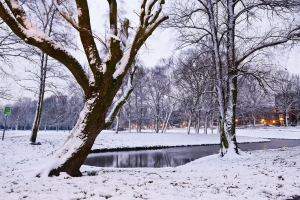 winter_scene